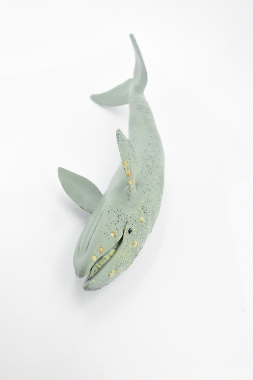 Whale, Grey Whale, Museum Quality, Hand Painted, Rubber Marine Mammal, Realistic  Toy Figure, Model, Replica, Kids