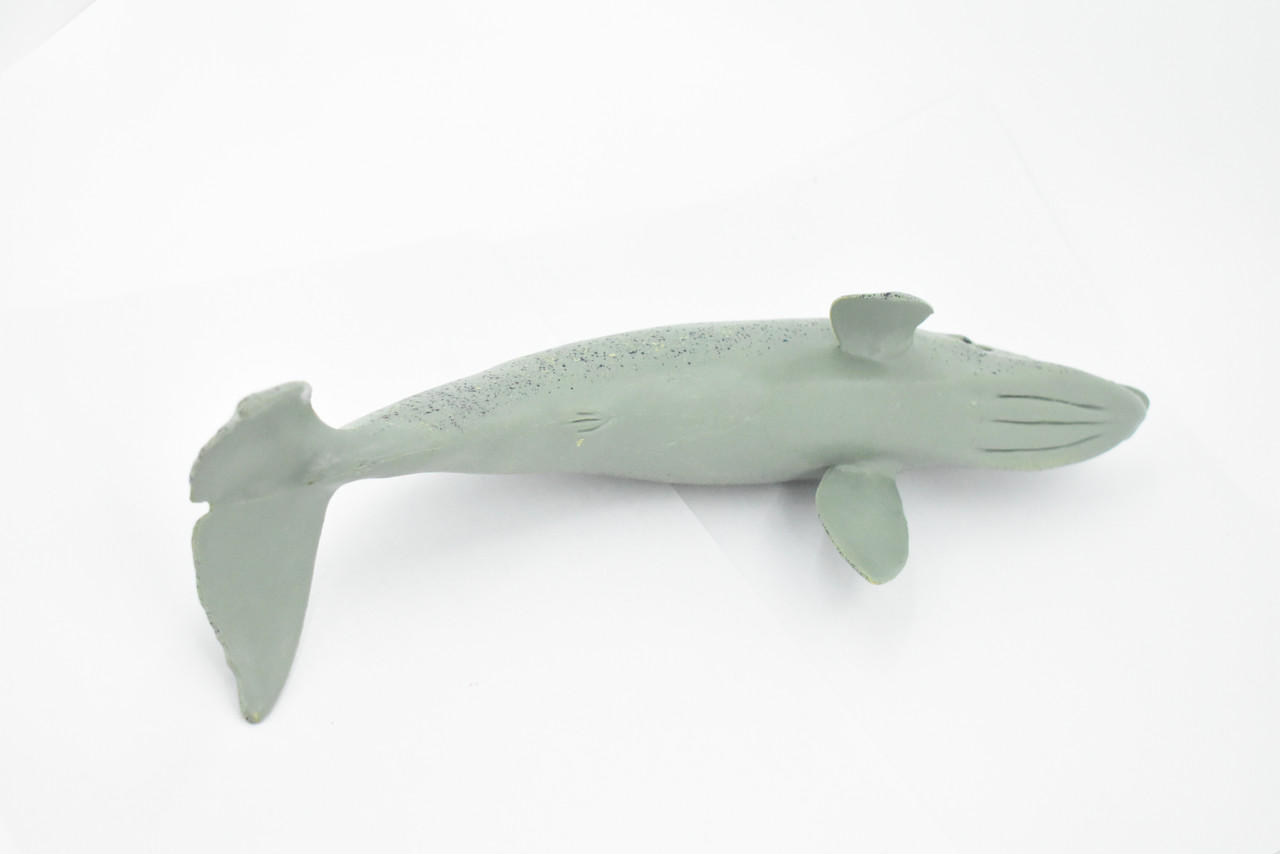 Whale, Grey Whale, Museum Quality, Hand Painted, Rubber Marine Mammal, Realistic Toy Figure, Model, Replica, Kids, Educational, Gift,     13"     CH371 BB140