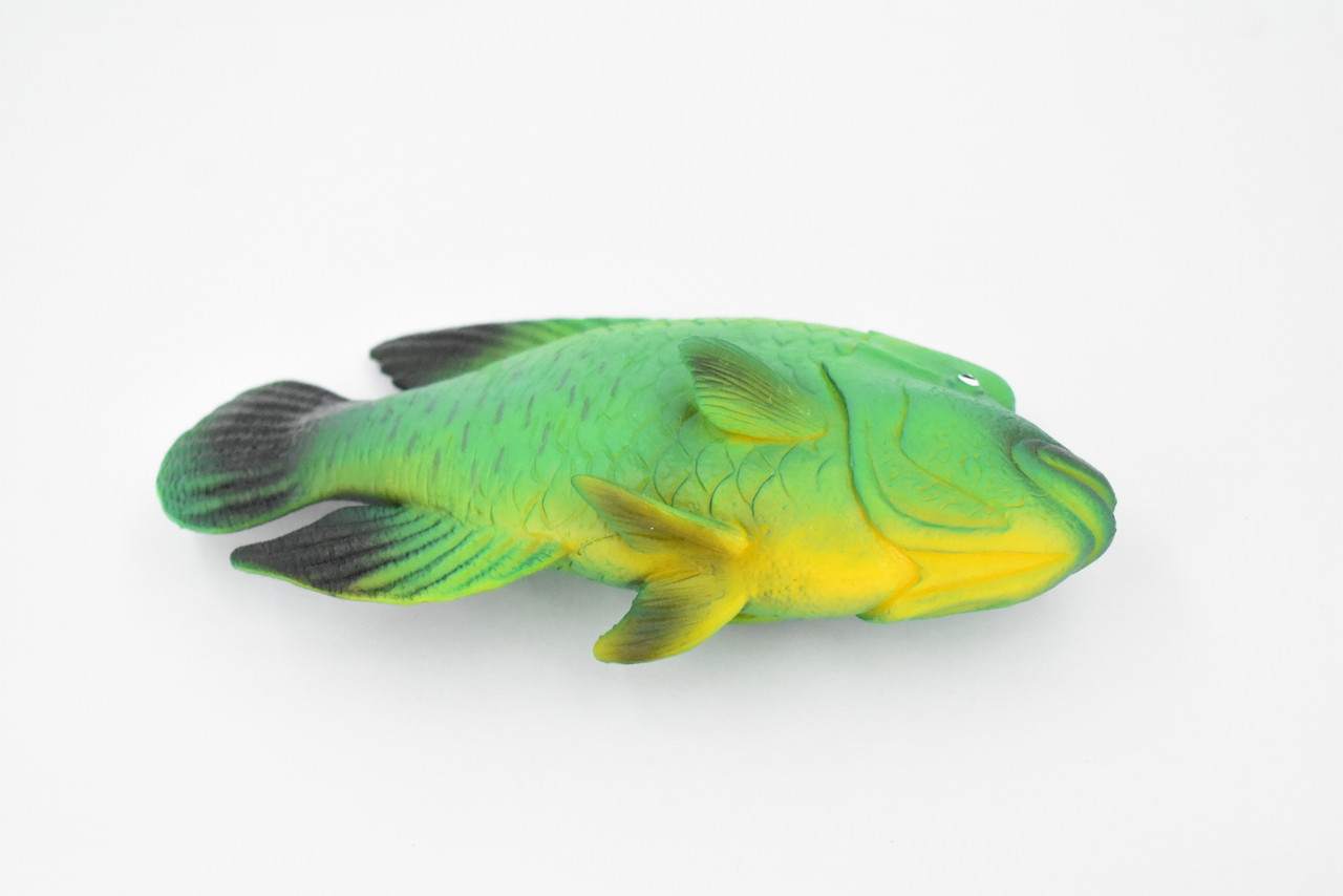 Fish, Green Humphead Wrasse, Museum Quality, Hand Painted, Rubber Fish, Realistic Toy Figure, Model, Replica, Kids, Educational, Gift,      7"     CH372 BB140