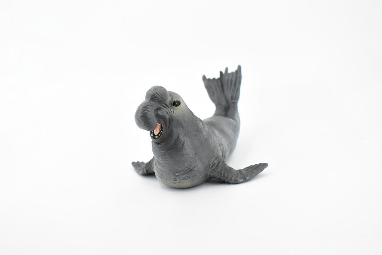 Elephant Seal, Pinnipeds, Marine Mammal, Museum Quality, Hand Painted, Educational, Rubber Fish, Diorama Model, Realistic Toy Figure, Kids,  7 Inches.