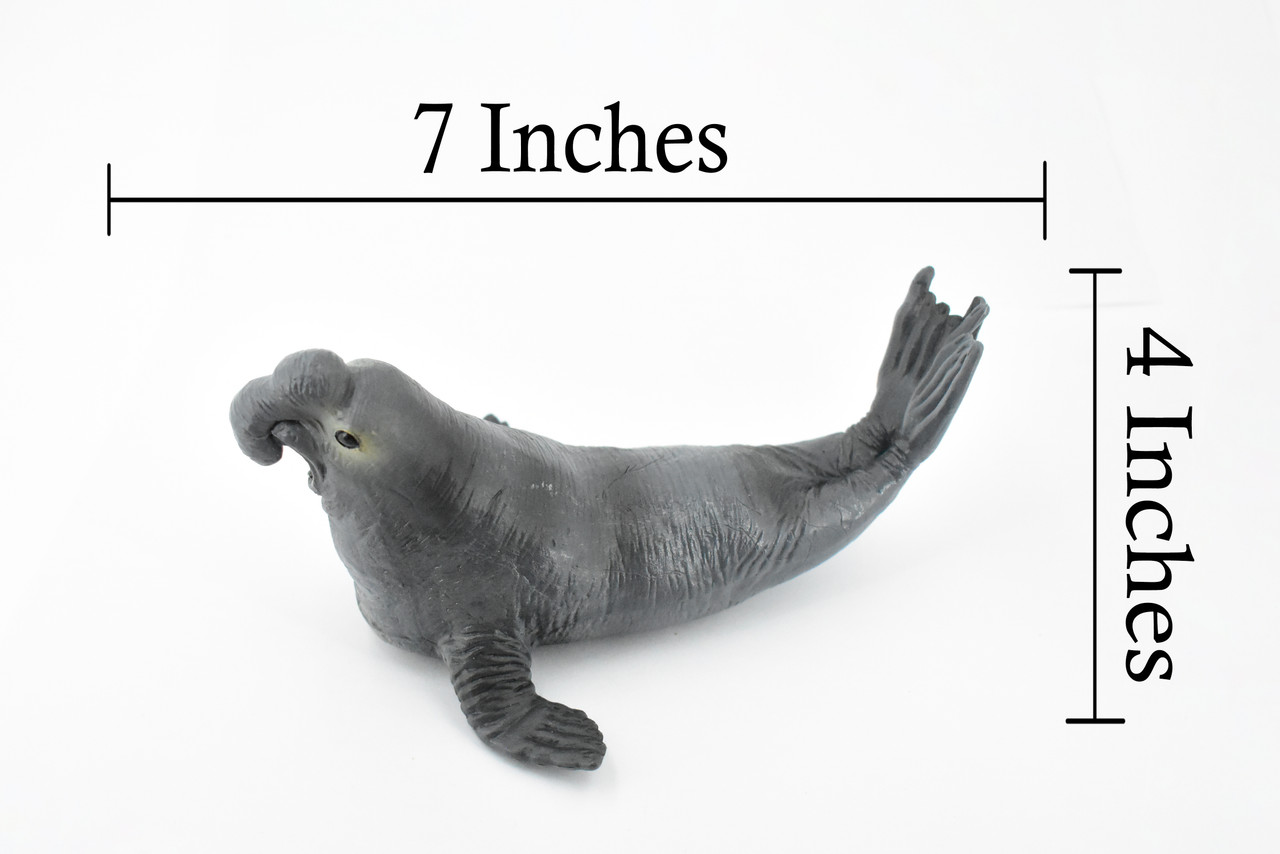 Seal, Elephant Seal, Museum Quality, Hand Painted, Pinniped Marine Mammal, Realistic Toy Figure, Model, Replica, Kids, Educational, Gift,      7"     CH373 BB140