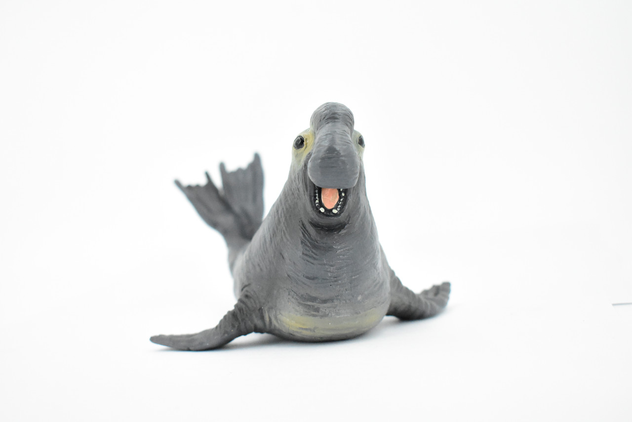 Elephant Seal, Pinnipeds, Marine Mammal, Museum Quality, Hand Painted, Educational, Rubber Fish, Diorama Model, Realistic Toy Figure, Kids,  7 Inches.