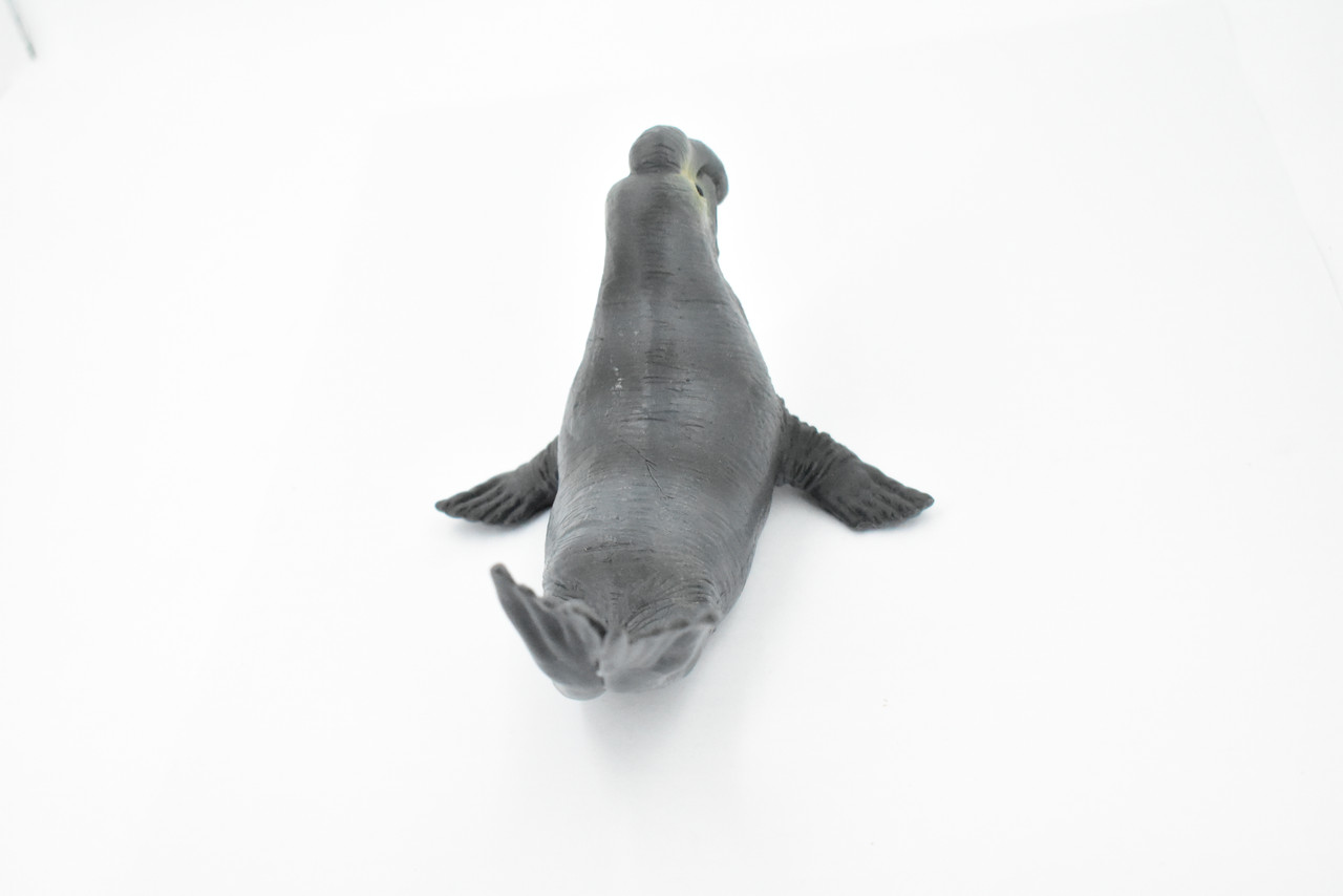 Elephant Seal, Pinnipeds, Marine Mammal, Museum Quality, Hand Painted, Educational, Rubber Fish, Diorama Model, Realistic Toy Figure, Kids,  7 Inches.
