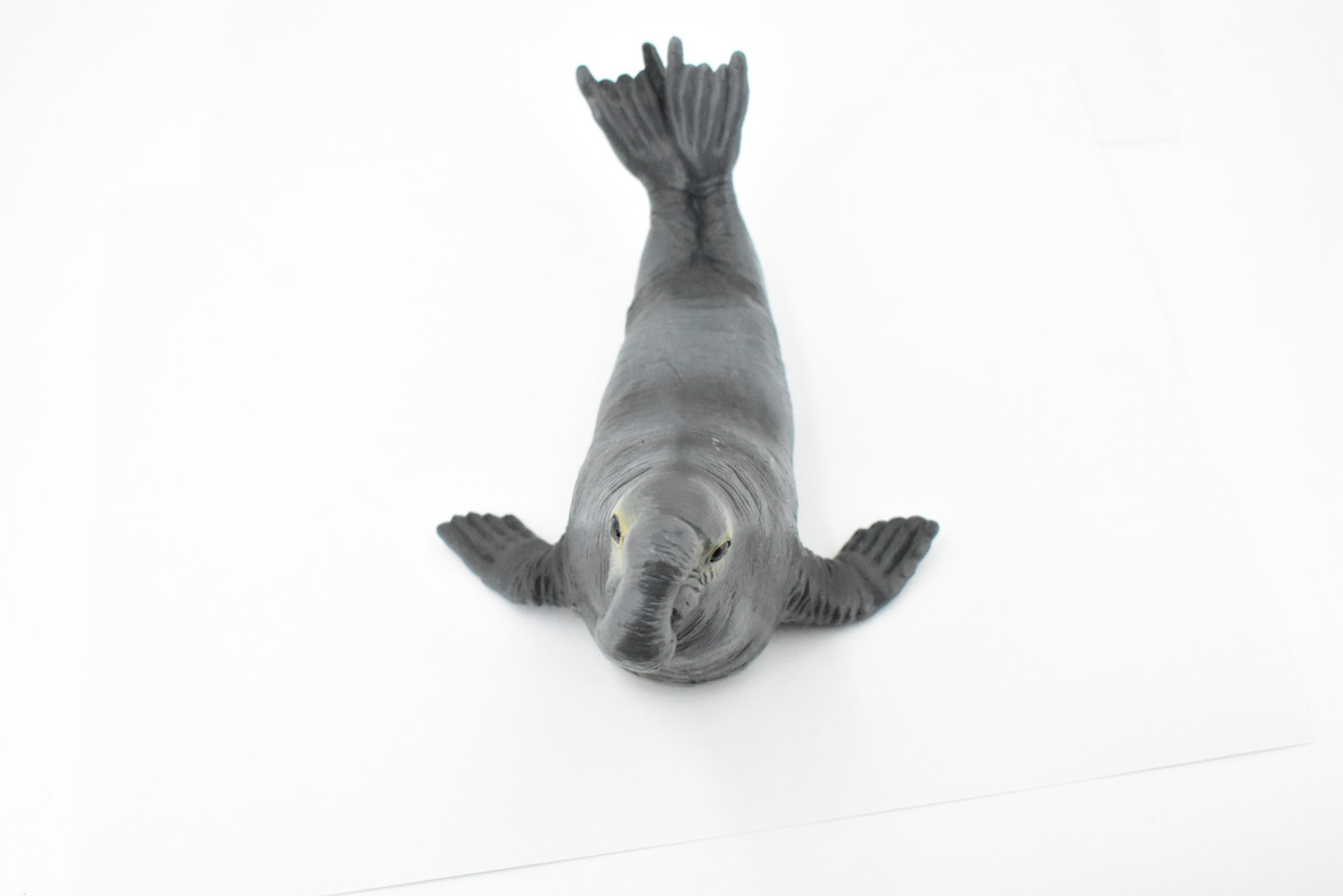 Seal, Elephant Seal, Museum Quality, Hand Painted, Pinniped Marine Mammal, Realistic Toy Figure, Model, Replica, Kids, Educational, Gift,      7"     CH373 BB140