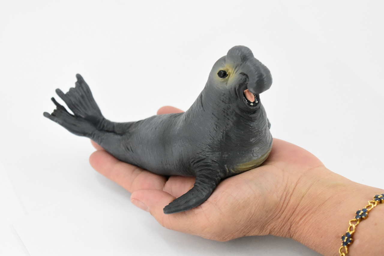 Elephant Seal, Pinnipeds, Marine Mammal, Museum Quality, Hand Painted, Educational, Rubber Fish, Diorama Model, Realistic Toy Figure, Kids,  7 Inches.