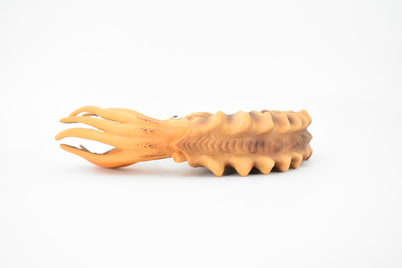 Ammonite, Living Fossil, Prehistoric Marine Animal, Museum Quality, Rubber, Hand Painted, Realistic Toy Figure, Model, Replica, Kids, Educational, Gift,    6"       CH374 BB141