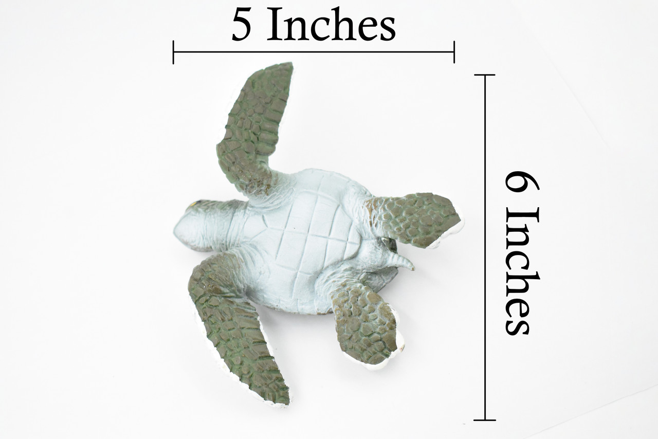 Turtle, Green Sea Turtle, Museum Quality, Hand Painted, Rubber Reptile, Realistic Toy Figure, Model, Replica, Kids, Educational, Gift,     5"     CH376 BB141