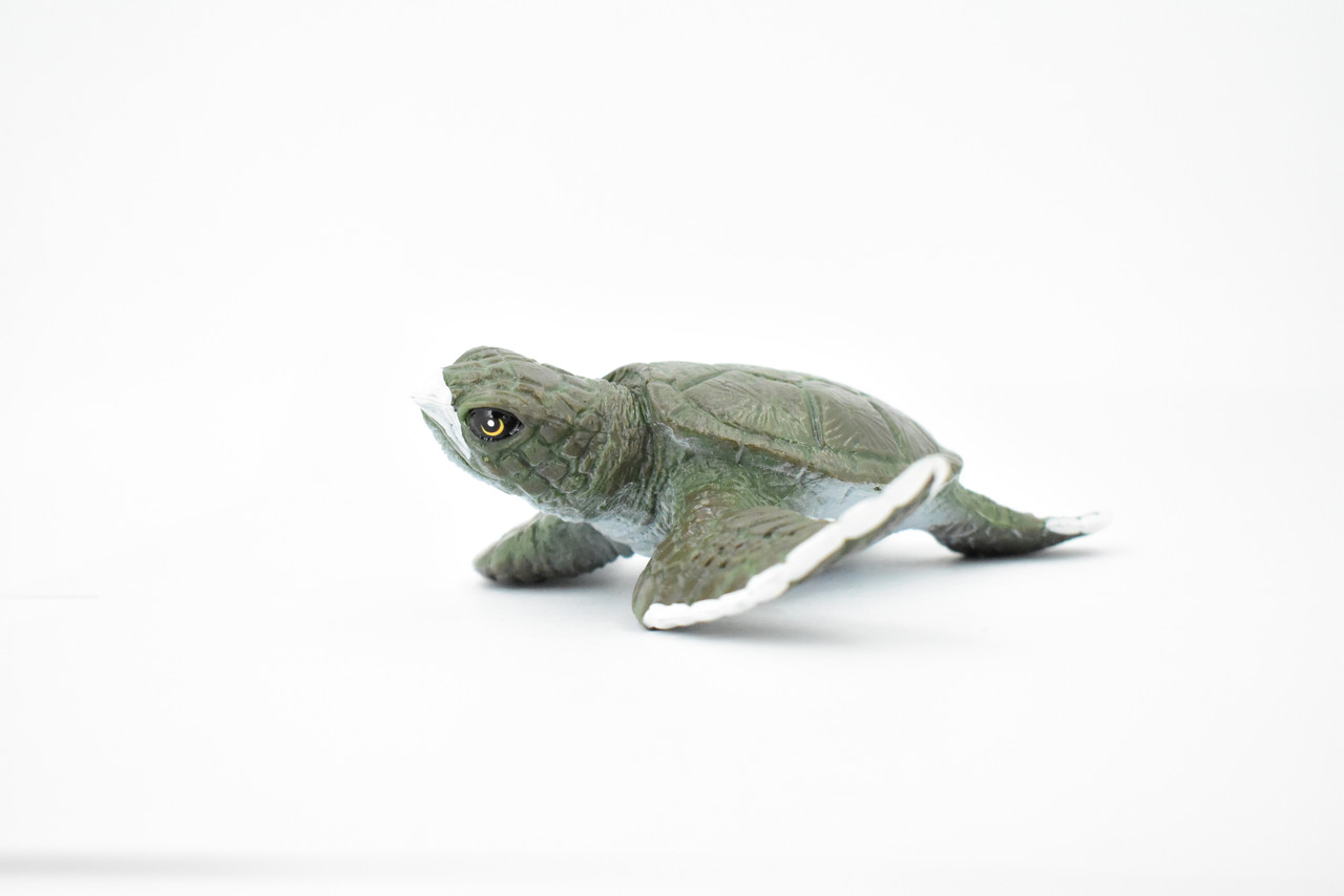 Turtle, Green Sea Turtle, Museum Quality, Hand Painted, Rubber Reptile, Realistic Toy Figure, Model, Replica, Kids, Educational, Gift,     5"     CH376 BB141