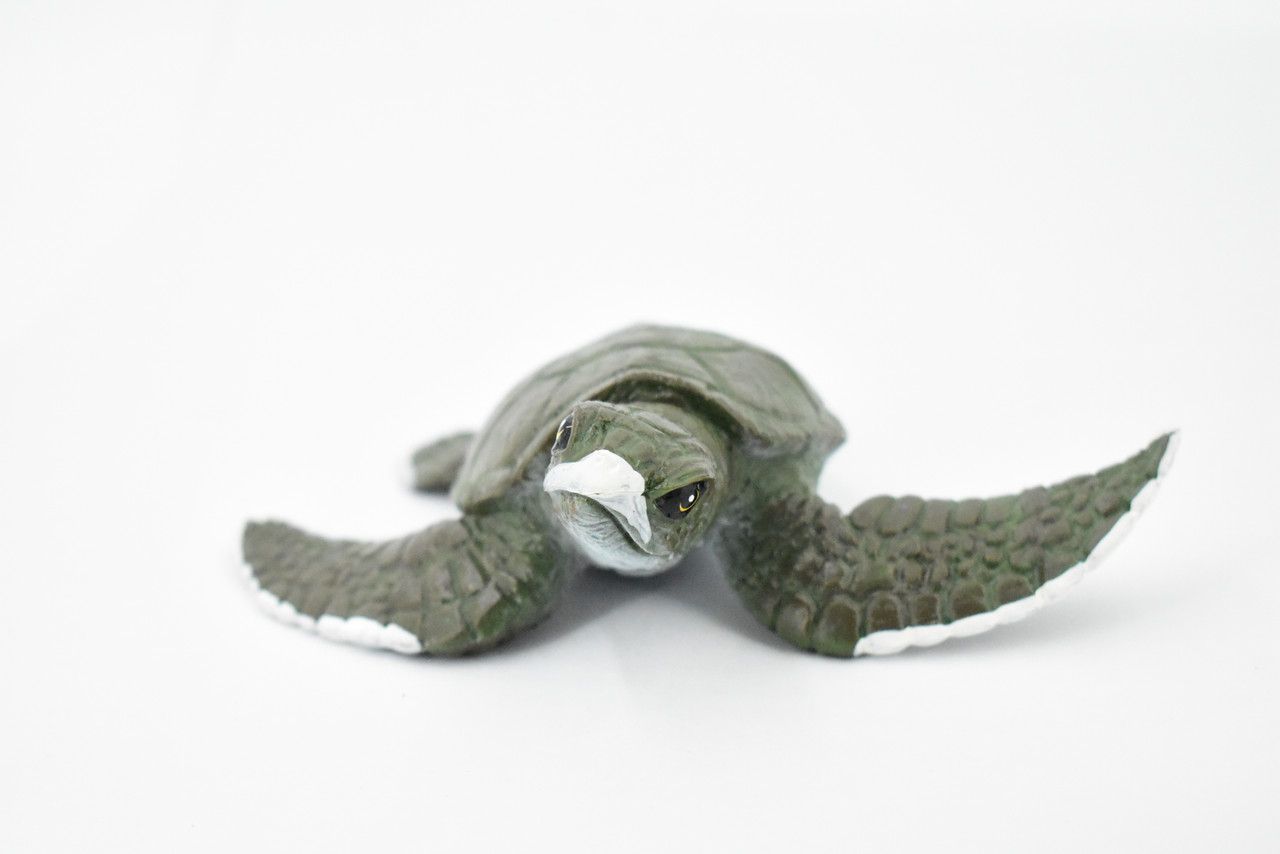 Turtle, Green Sea Turtle, Museum Quality, Hand Painted, Rubber Reptile, Realistic Toy Figure, Model, Replica, Kids, Educational, Gift,     5"     CH376 BB141