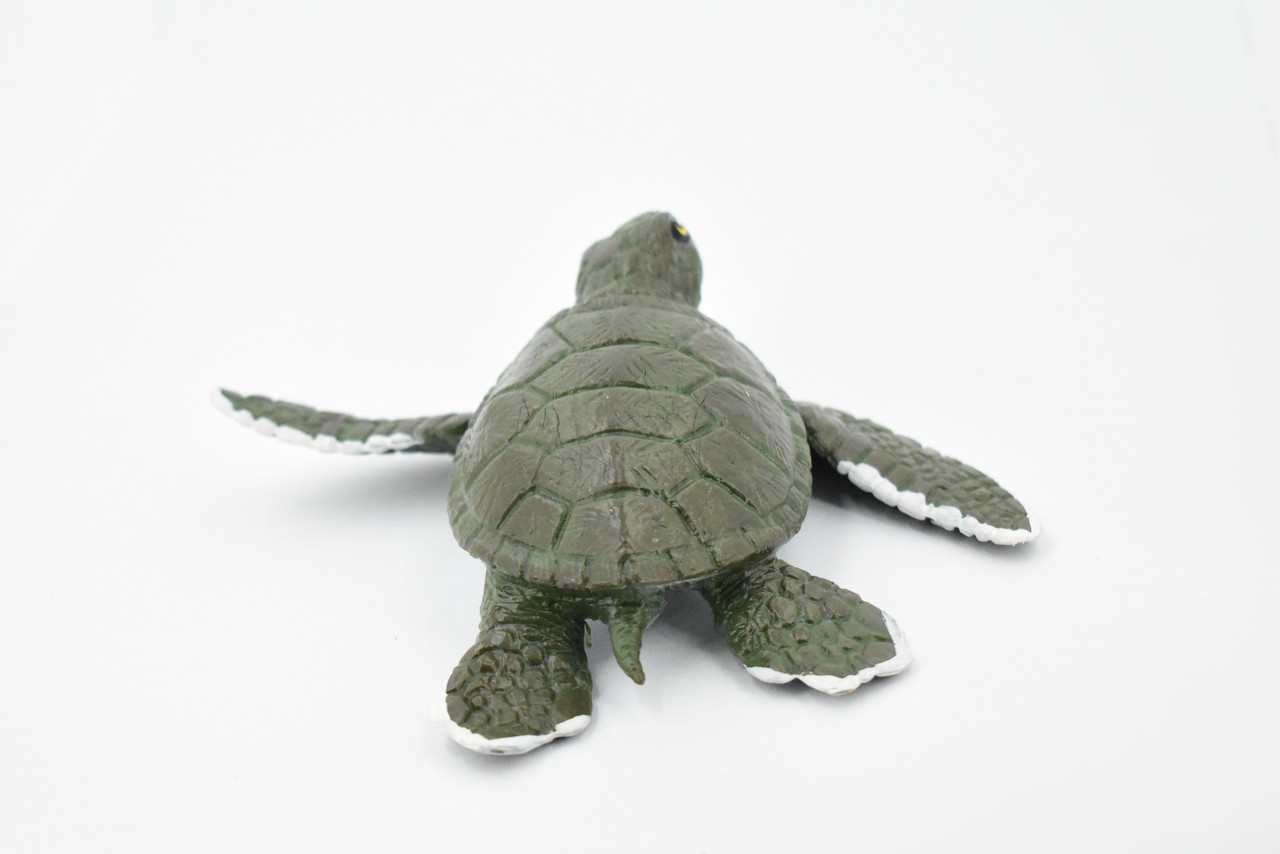 Turtle, Green Sea Turtle, Museum Quality, Hand Painted, Rubber Reptile, Realistic Toy Figure, Model, Replica, Kids, Educational, Gift,     5"     CH376 BB141