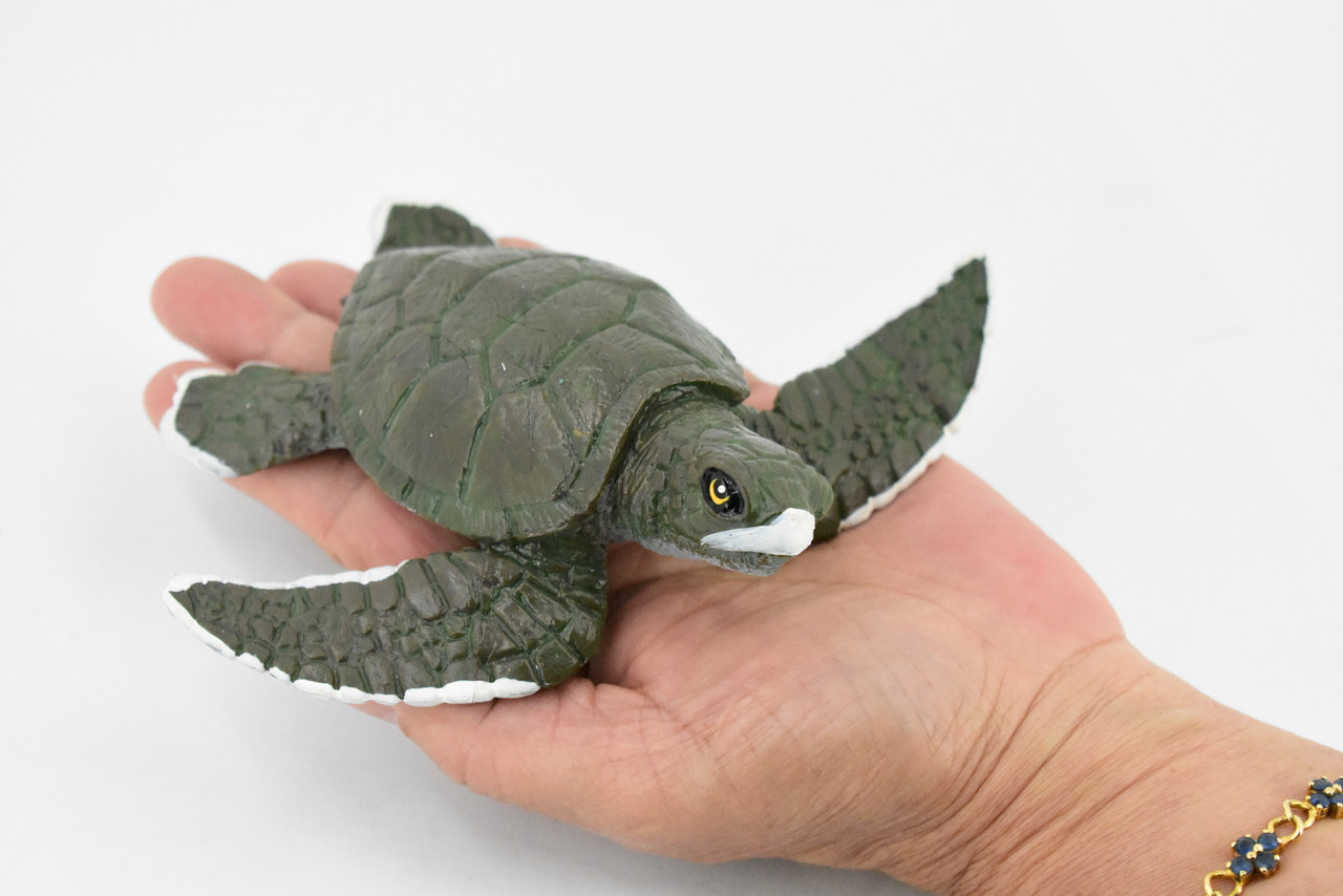 Turtle, Green Sea Turtle, Museum Quality, Hand Painted, Rubber Reptile, Realistic Toy Figure, Model, Replica, Kids, Educational, Gift,     5"     CH376 BB141