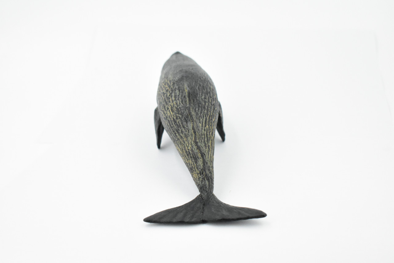 Whale, Sperm Whale, Cetacean, Marine Mammal, Museum Quality, Hand Painted, Rubber, Toy Figure, Model, Educational, Gift,      9"     CH377 BB141