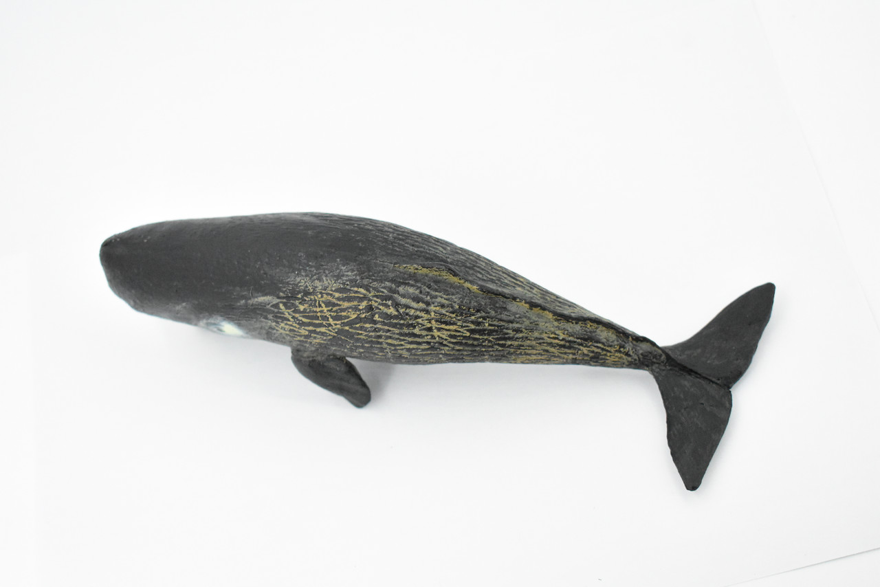 Sperm Whale, Cetacean, Marine Mammal, Museum Quality, Hand Painted, Rubber, Toy Figure, Diorama Model, Educational,  9 Inches. 