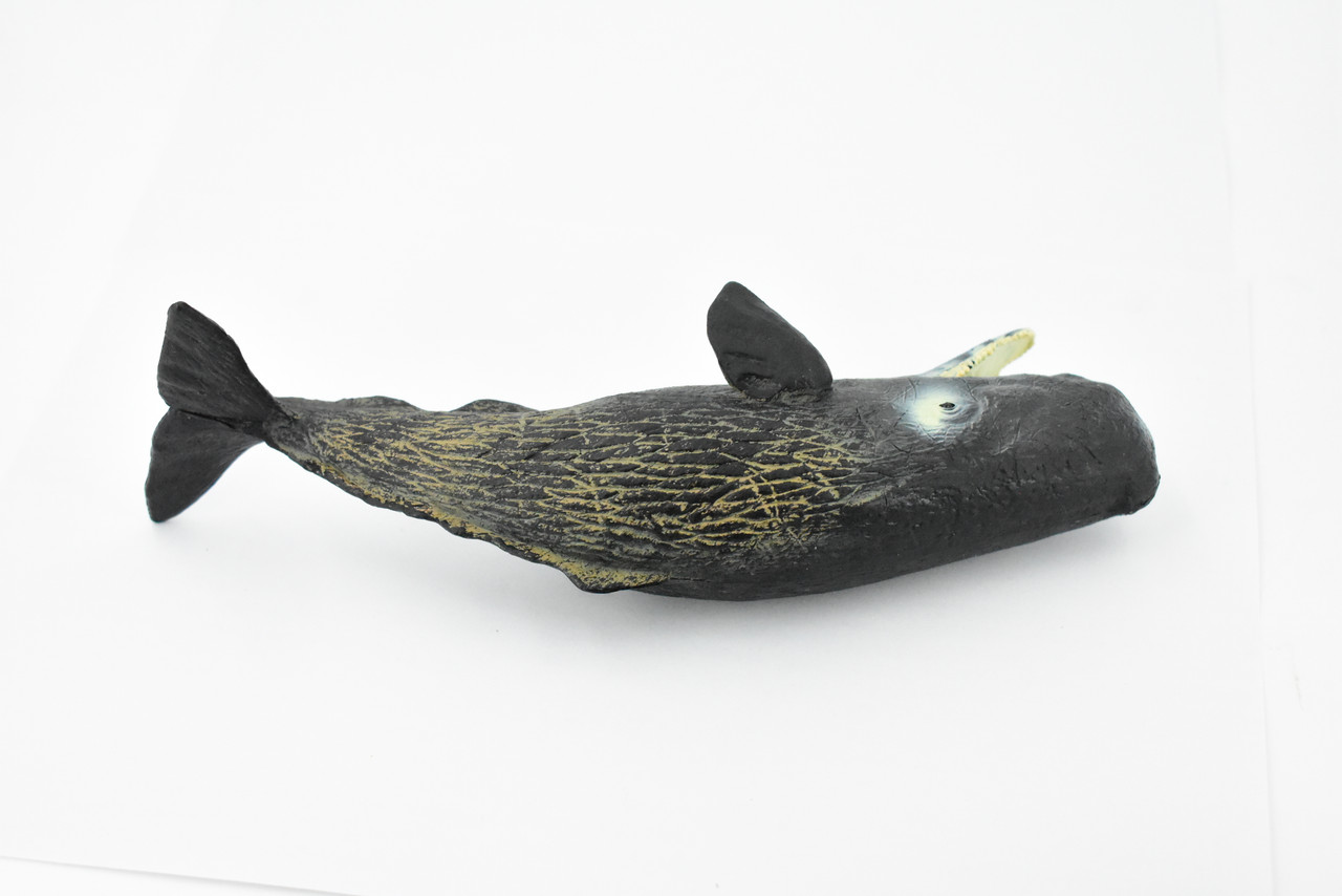 Whale, Sperm Whale, Cetacean, Marine Mammal, Museum Quality, Hand Painted, Rubber, Toy Figure, Model, Educational, Gift,      9"     CH377 BB141