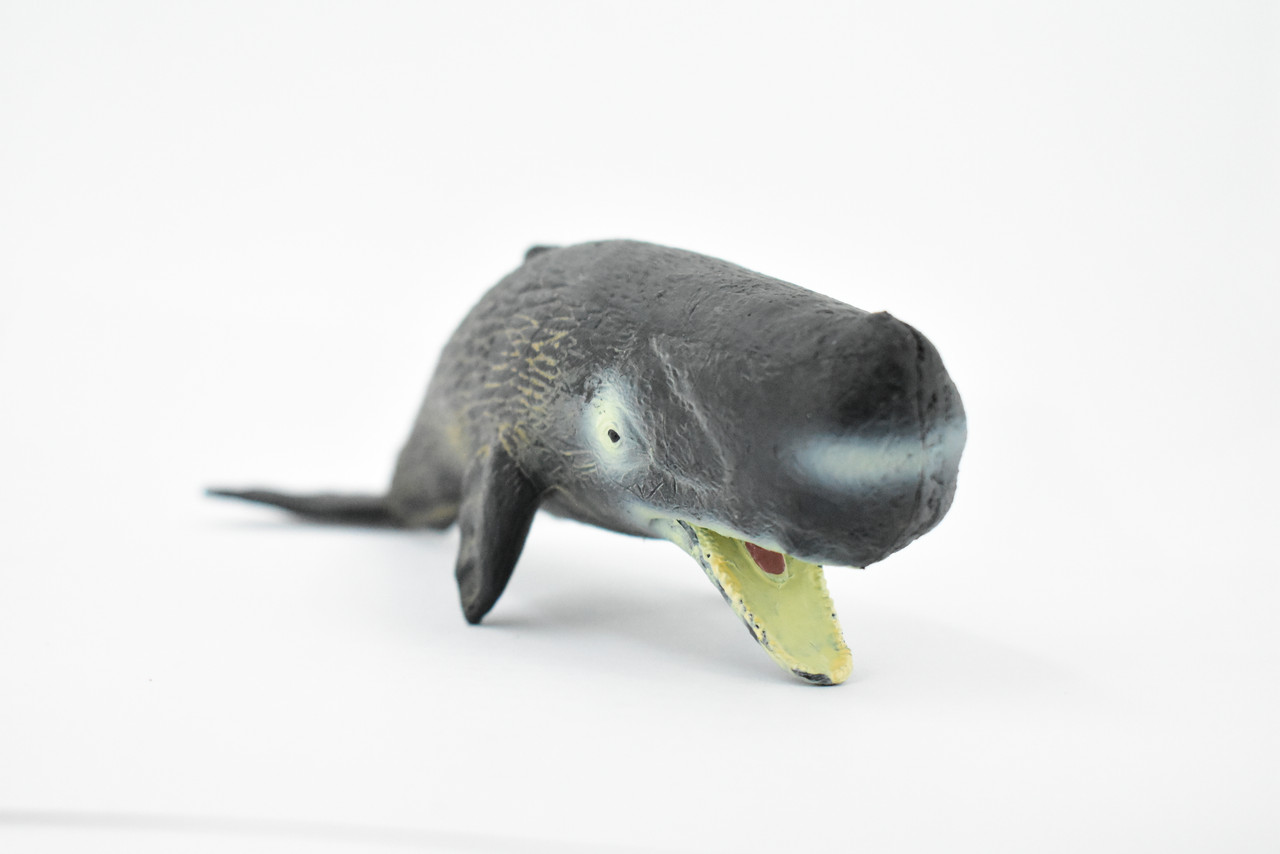 Whale, Sperm Whale, Cetacean, Marine Mammal, Museum Quality, Hand Painted, Rubber, Toy Figure, Model, Educational, Gift,      9"     CH377 BB141