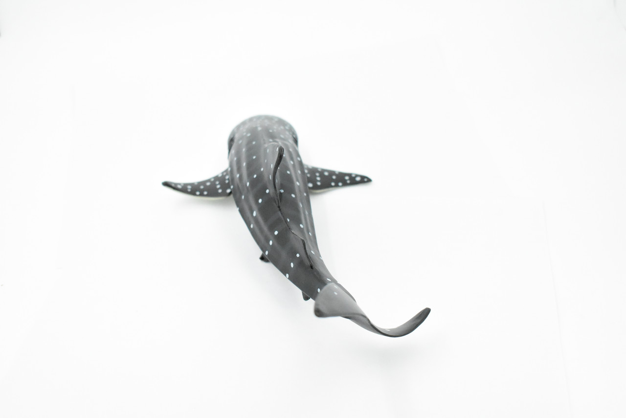 Whale Shark, Gentle Giant, Museum Quality, Educational, Hand Painted, Rubber Fish, Realistic Toy Figure, Diorama Model, Replica, Kids, Gift,    12 Inches. 