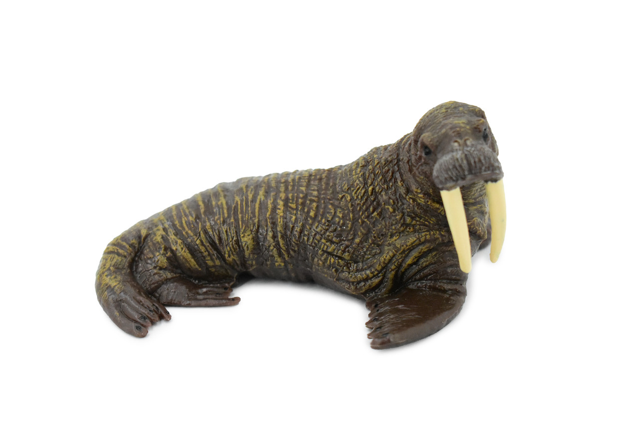 Walrus, Pinniped, Marine Mammal, Museum Quality, Hand Painted, Rubber, Realistic Toy Figure, Model, Replica, Kids, Educational, Gift,        5"      CH379  BB142