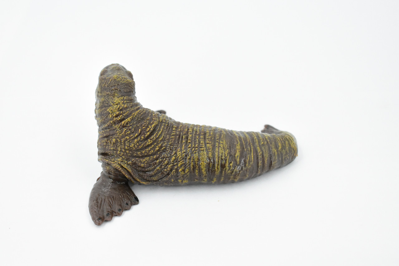 Walrus, Pinniped, Marine Mammal, Museum Quality, Educational, Hand Painted, Rubber, Realistic Toy Figure, Diorama Model, Replica, Kids,  5 Inches. 