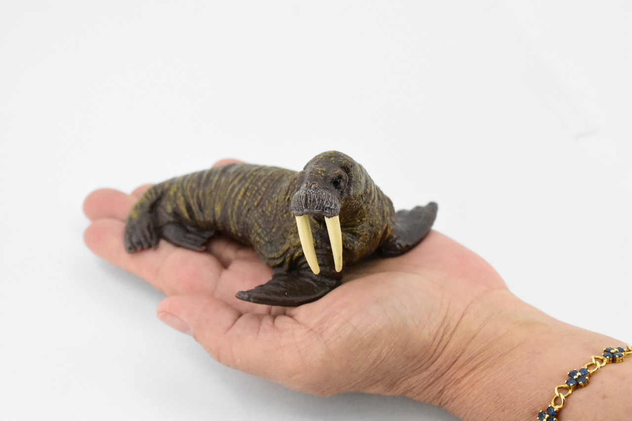 Walrus, Pinniped, Marine Mammal, Museum Quality, Hand Painted, Rubber, Realistic Toy Figure, Model, Replica, Kids, Educational, Gift,        5"      CH379  BB142