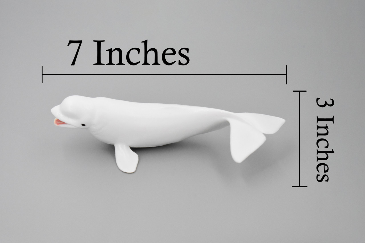 Whale, Beluga, White Whale, Museum Quality, Rubber, Hand Painted, Realistic Toy Figure, Model, Replica, Kids, Educational, Gift,     7"      CH380 BB142 