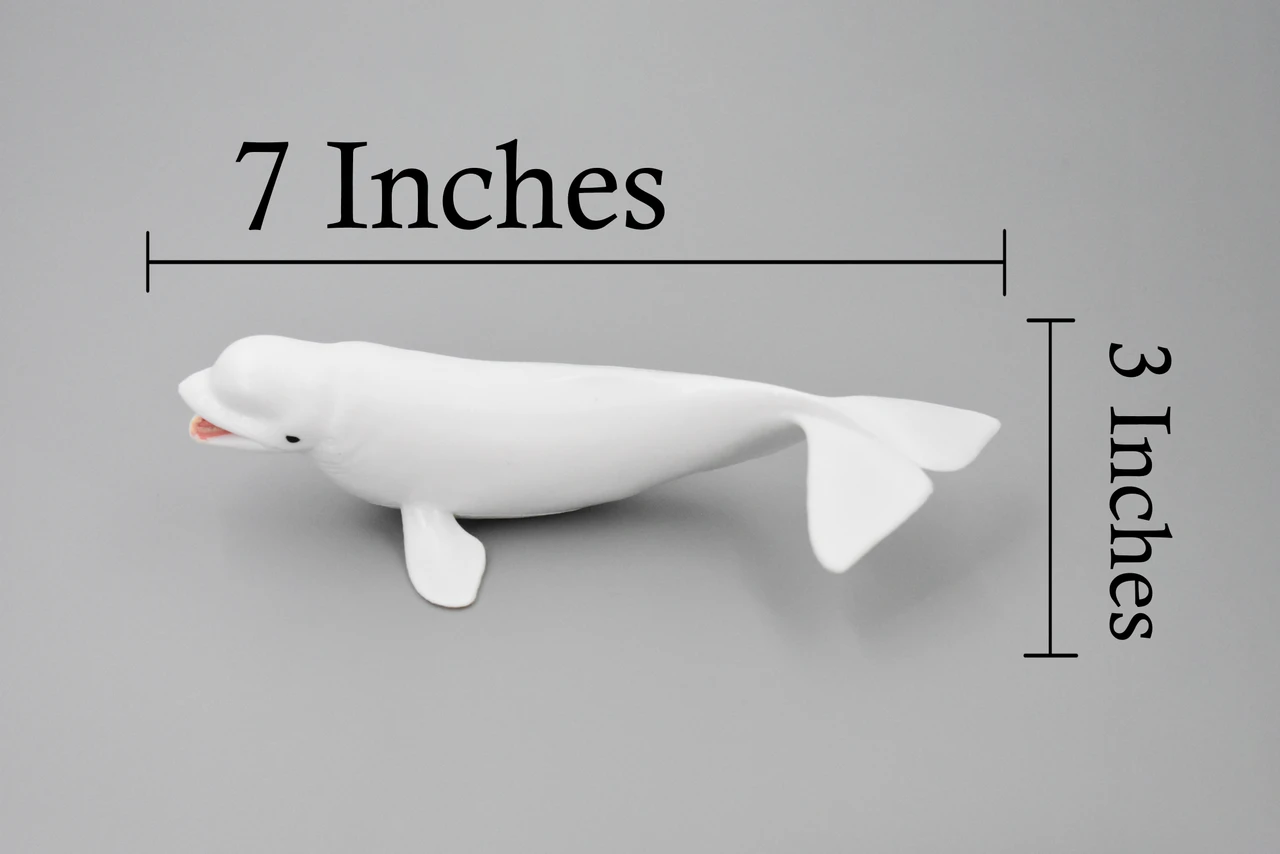 Beluga Whale, Cetacean, Marine Mammal, Museum Quality, Hand Painted, Educational, Rubber Animal, Realistic Toy Figure, Diorama Model, Kids, Gift,   7 Inches. 