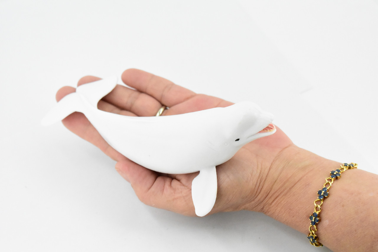 Beluga Whale, Cetacean, Marine Mammal, Museum Quality, Hand Painted, Educational, Rubber Animal, Realistic Toy Figure, Diorama Model, Kids, Gift,   7 Inches. 