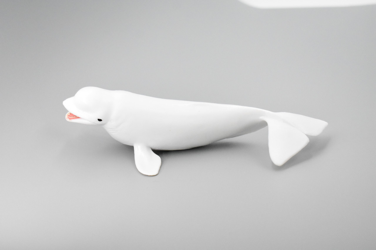 Whale, Beluga, White Whale, Museum Quality, Rubber, Hand Painted, Realistic Toy Figure, Model, Replica, Kids, Educational, Gift,     7"      CH380 BB142 