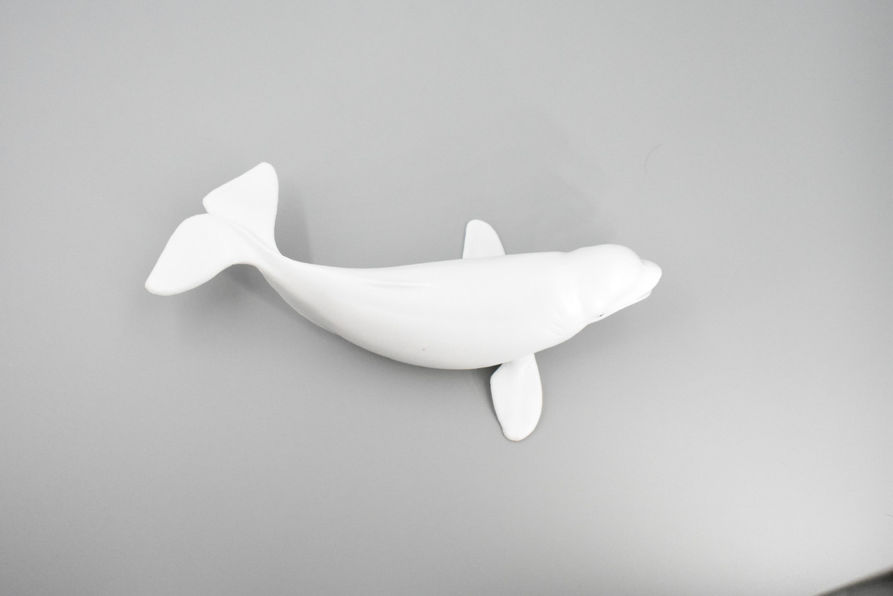 Whale, Beluga, White Whale, Museum Quality, Rubber, Hand Painted, Realistic Toy Figure, Model, Replica, Kids, Educational, Gift,     7"      CH380 BB142 