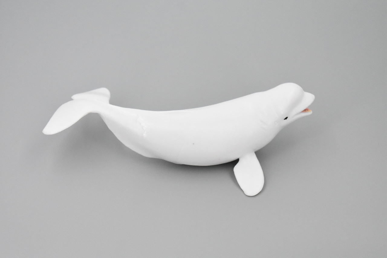 Whale, Beluga, White Whale, Museum Quality, Rubber, Hand Painted, Realistic Toy Figure, Model, Replica, Kids, Educational, Gift,     7"      CH380 BB142 