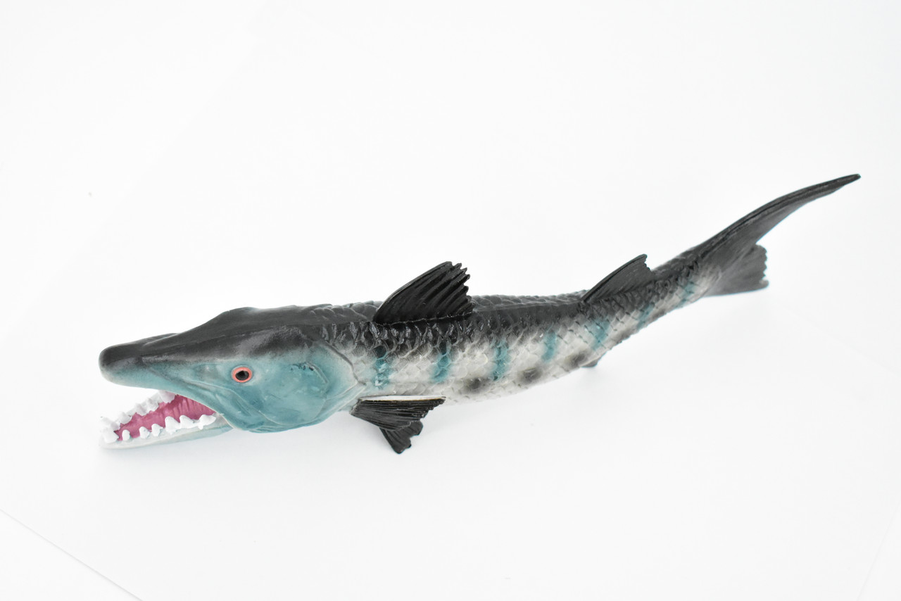 Fish, Barracuda, Anarrhichtys Ocellaus, Museum Quality, Hand Painted, Rubber Fish, Realistic Toy Figure, Model, Replica, Kids, Educational, Gift,     10"     CH382 BB143