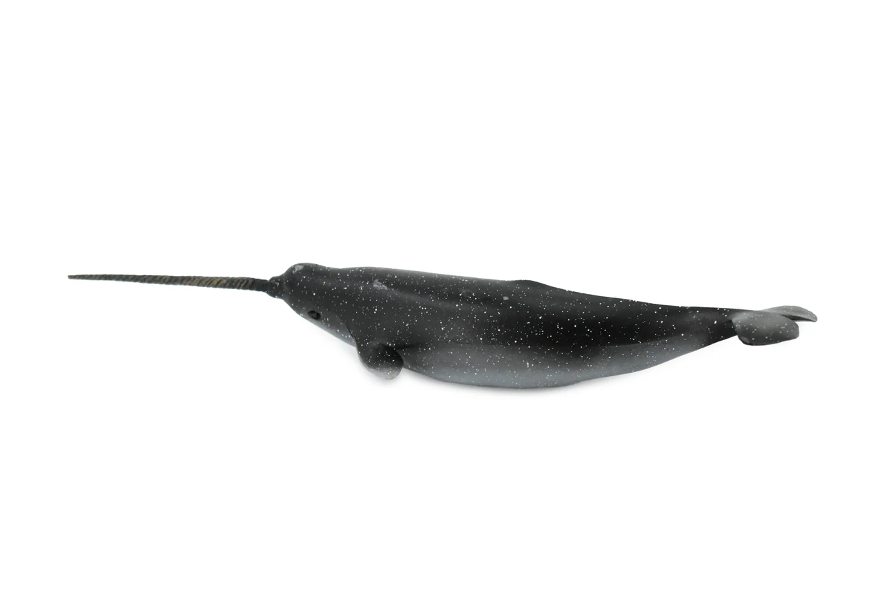 Narwhal, Whale, Unicorns of the sea, Museum Quality, Rubber, Hand Painted, Realistic Toy Figure, Model, Replica, Kids, Educational, 11 Inches.