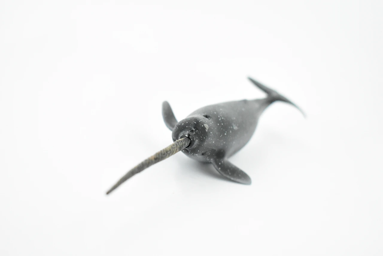 Narwhal, Whale, Unicorns of the sea, Museum Quality, Rubber, Hand Painted, Realistic Toy Figure, Model, Replica, Kids, Educational, 11 Inches.
