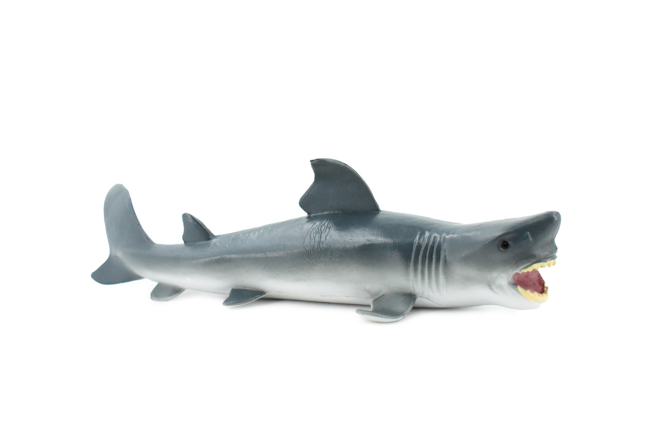 Great White, G.W. Shark, Museum Quality, Hand Painted, Educational, Rubber Fish, Diorama Model, Replica, Realistic Toy Figure, Kids,  7 Inches.