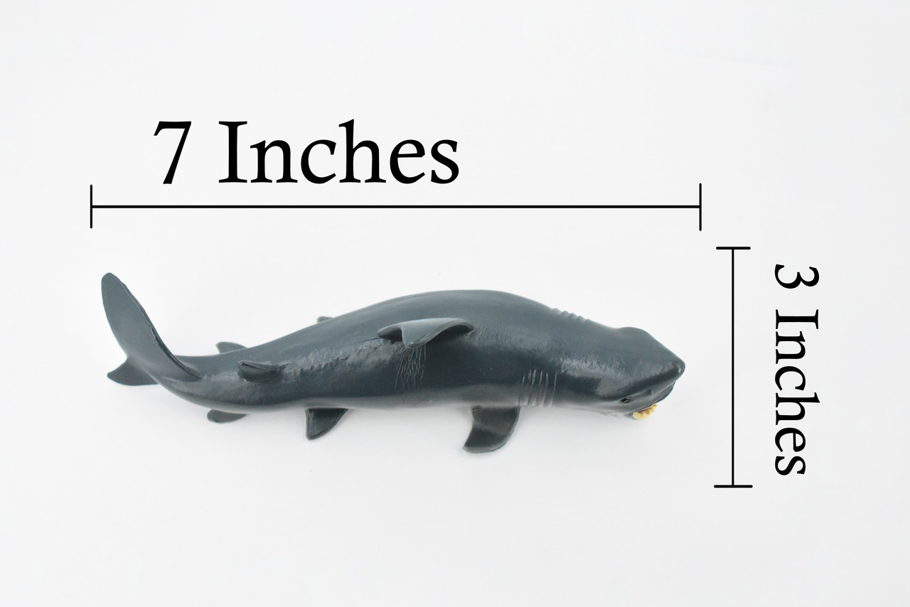 Great White, G.W. Shark, Museum Quality, Hand Painted, Educational, Rubber Fish, Diorama Model, Replica, Realistic Toy Figure, Kids,  7 Inches.