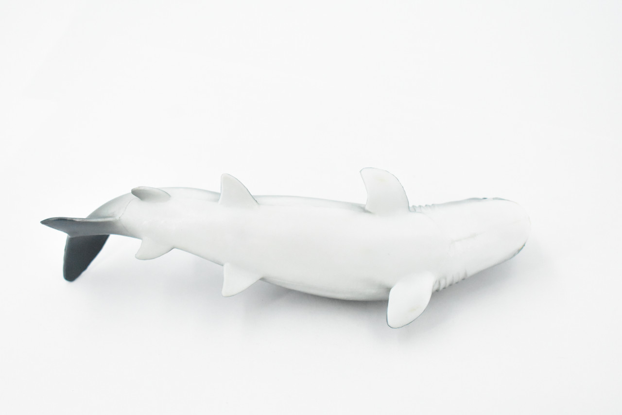 Shark, Great White, G.W. Shark, Museum Quality, Hand Painted, Rubber Fish, Realistic Toy Figure, Model, Replica, Kids, Educational, Gift,       7"      CH384 BB143