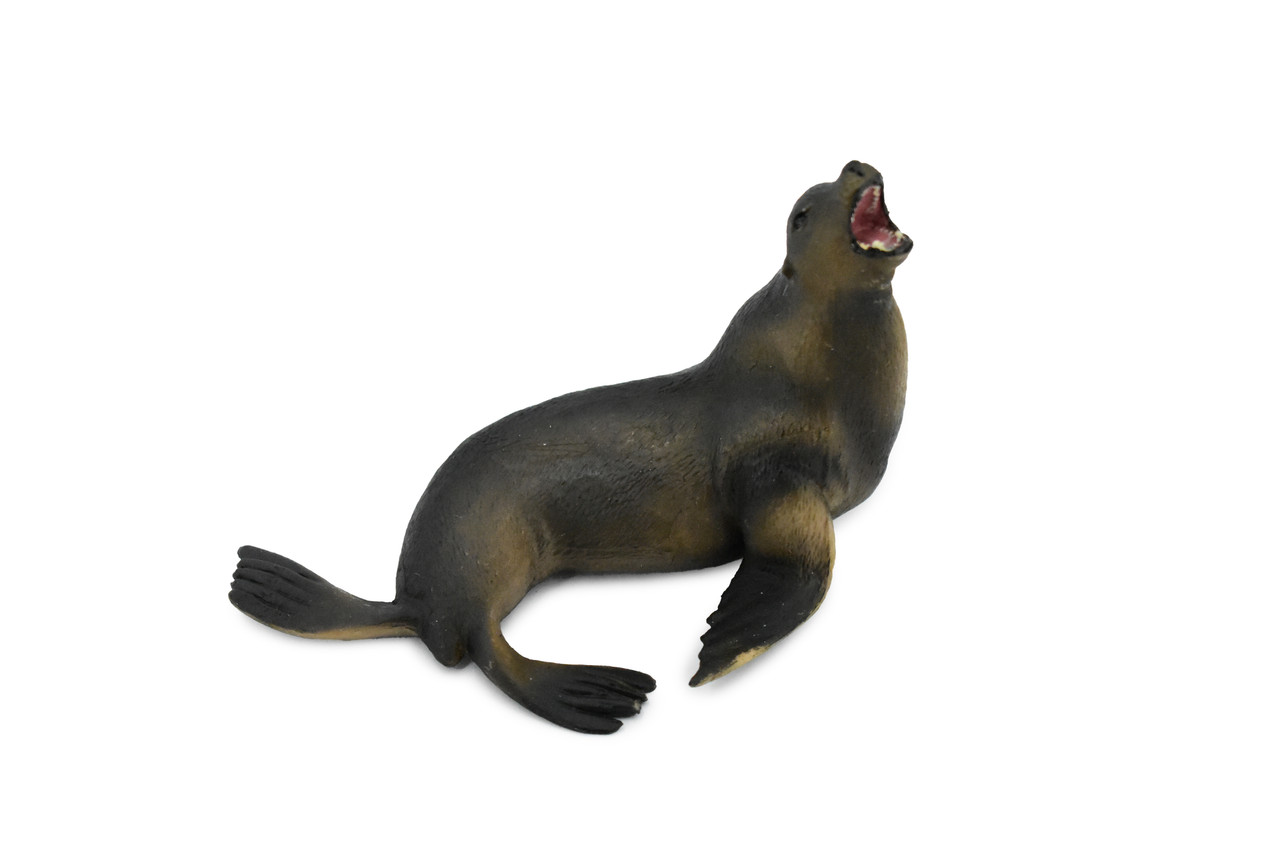 Sea Lion, Pinnipeds, Museum Quality, Hand Painted, Rubber Seal Family, Realistic Toy Figure, Model, Replica, Kids, Educational, Gift,        5"       CH385 BB143