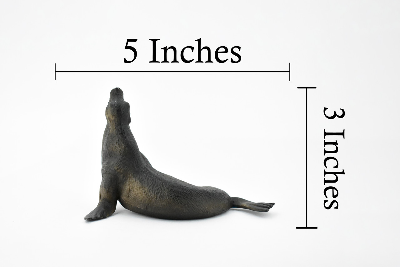 Sea Lion, Pinnipeds, Museum Quality, Hand Painted, Rubber Seal Family, Realistic Toy Figure, Model, Replica, Kids, Educational, Gift,        5"       CH385 BB143