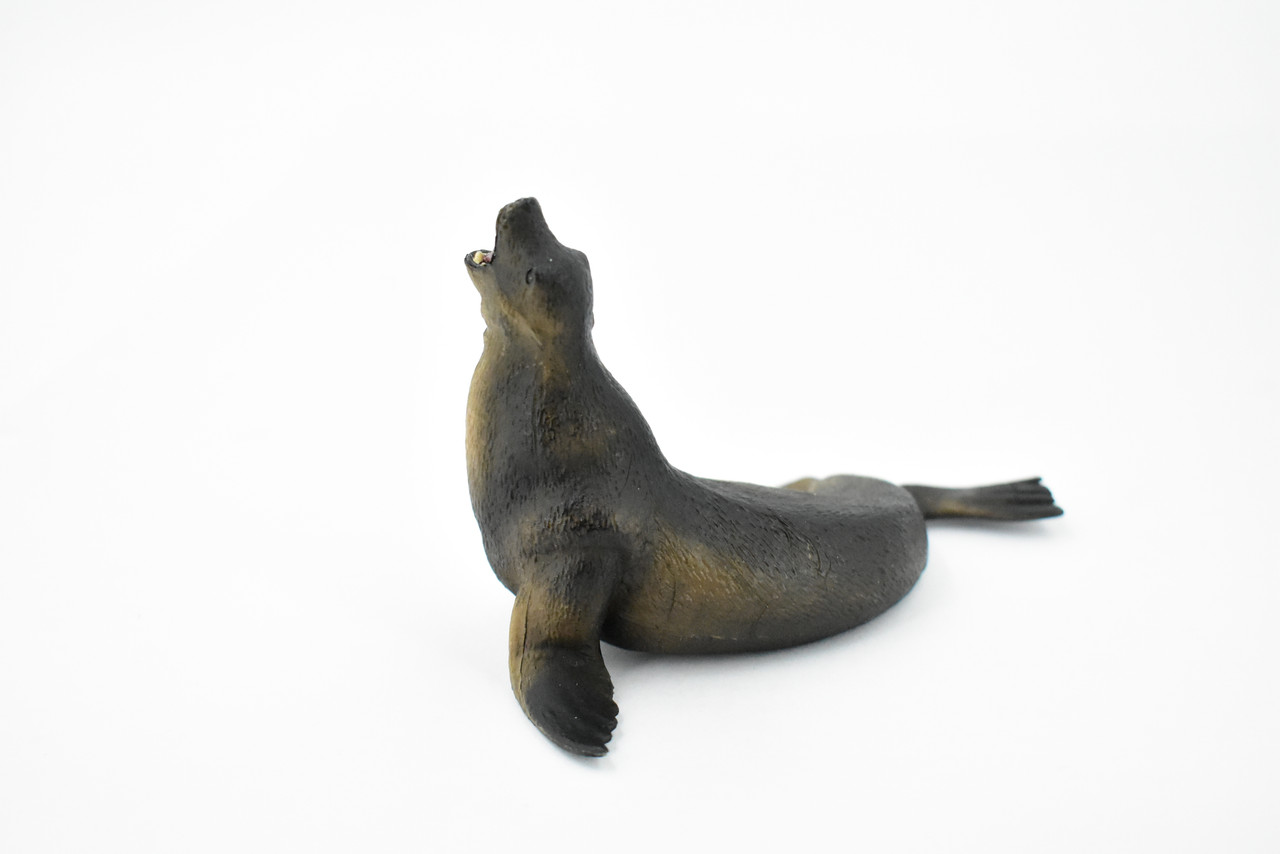 Sea Lion, Pinnipeds, Museum Quality, Hand Painted, Rubber Seal Family, Realistic Toy Figure, Model, Replica, Kids, Educational, Gift,        5"       CH385 BB143