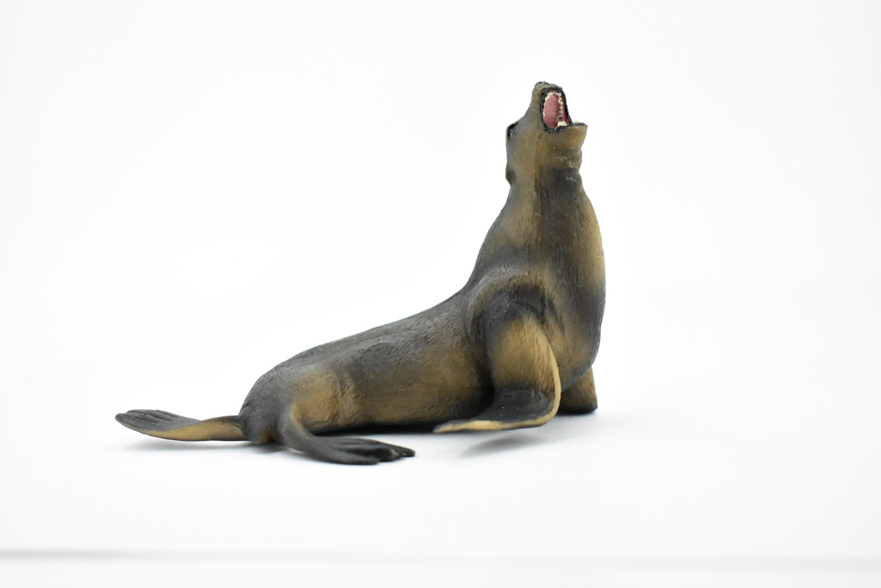 Sea Lion, Pinnipeds, Museum Quality, Hand Painted, Rubber Seal Family, Realistic Toy Figure, Model, Replica, Kids, Educational, Gift,        5"       CH385 BB143