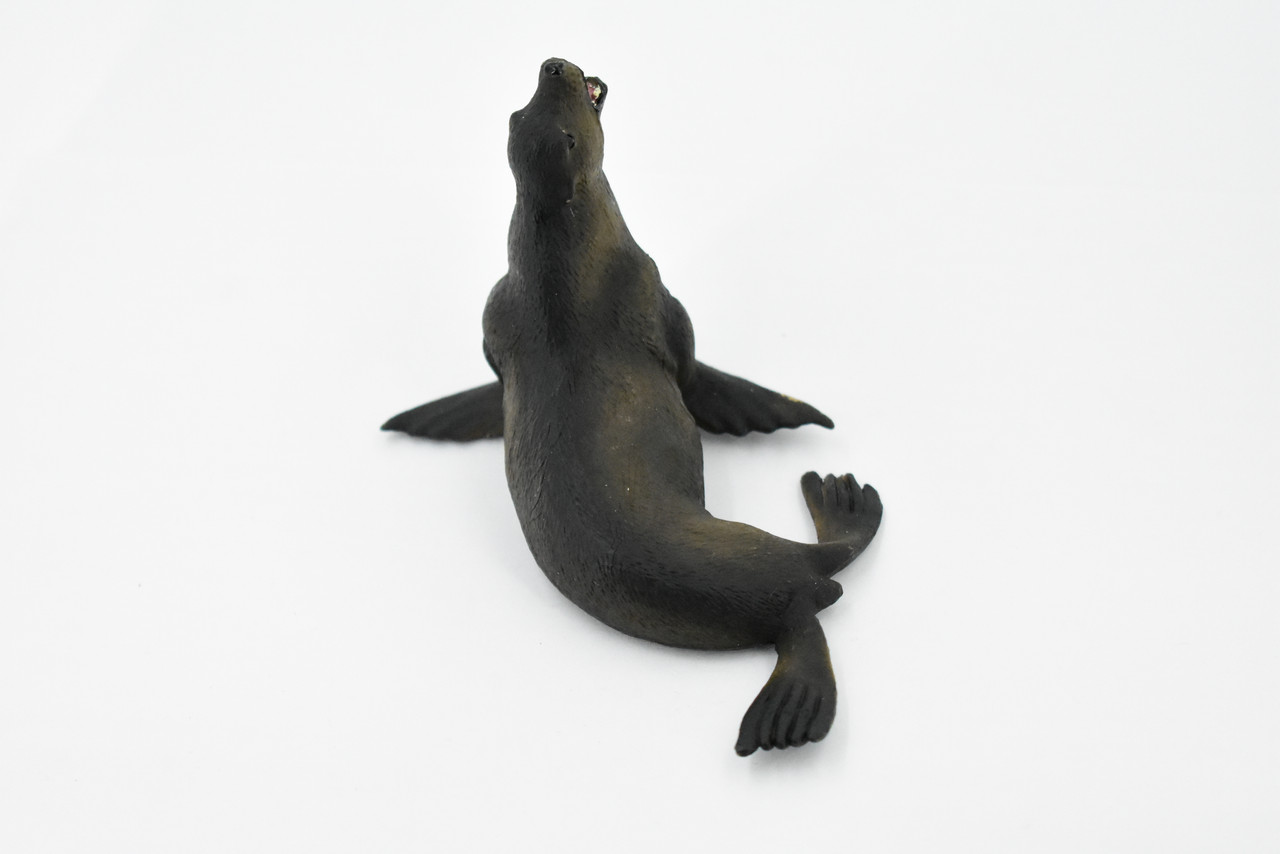 Sea Lion, Pinnipeds, Museum Quality, Hand Painted, Rubber Seal Family, Realistic Toy Figure, Model, Replica, Kids, Educational, Gift,        5"       CH385 BB143