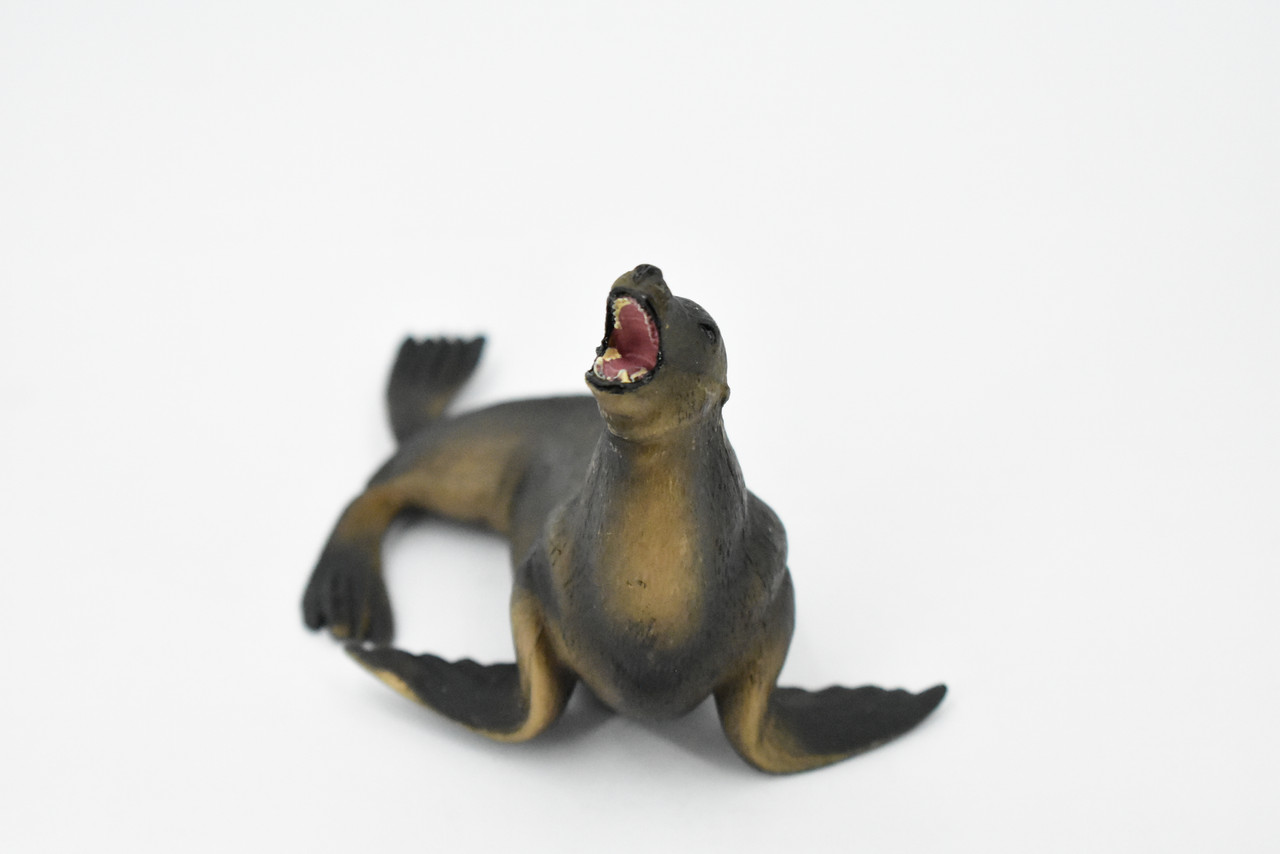 Sea Lion, Pinnipeds, Museum Quality, Hand Painted, Rubber Seal Family, Realistic Toy Figure, Model, Replica, Kids, Educational, Gift,        5"       CH385 BB143