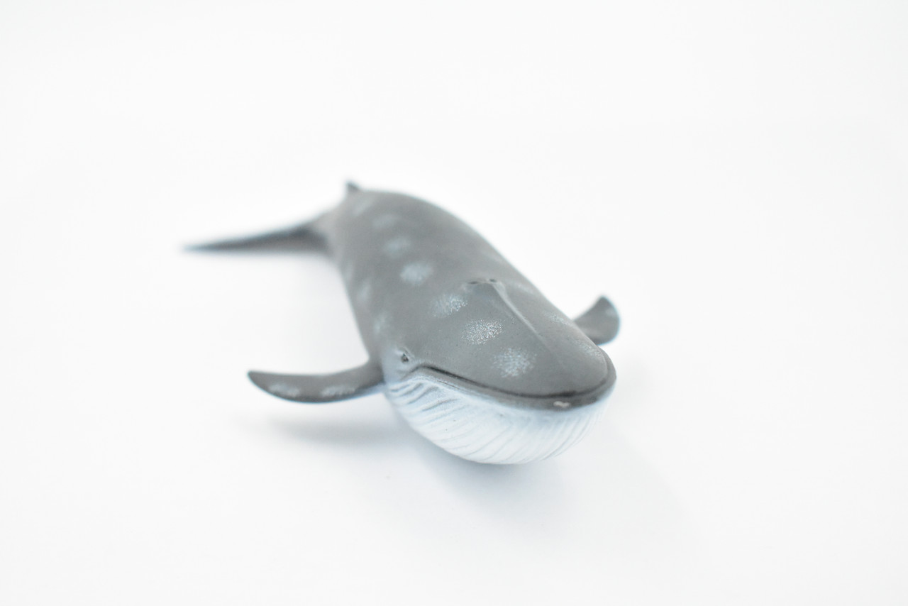 Whale, Blue Whale, Marine Mammal, Hand Painted, Museum Quality, Beautiful Rubber Animal, Realistic Toy Figure, Model, Educational, Gift,       9"      CH386 BB144
