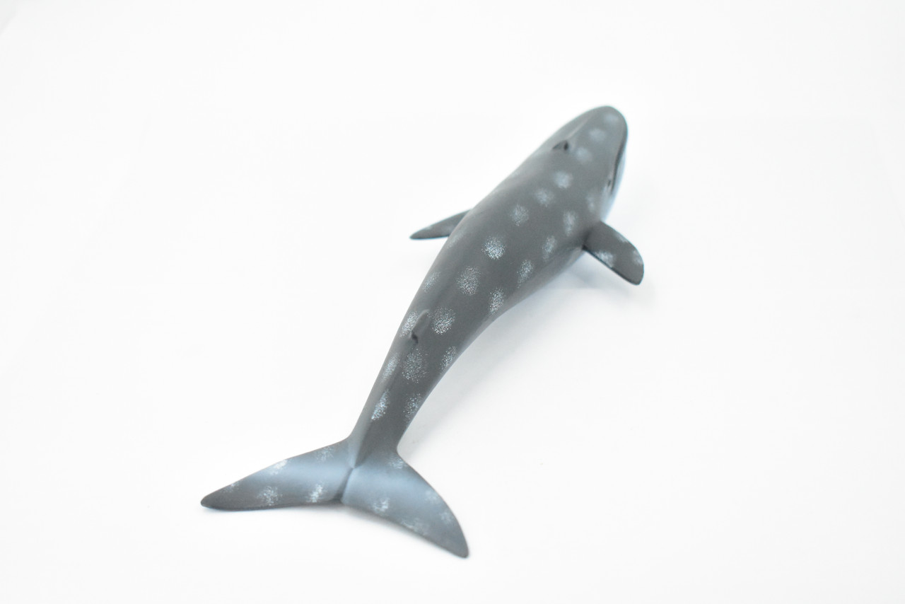 Whale, Blue Whale, Marine Mammal, Hand Painted, Museum Quality, Beautiful Rubber Animal, Realistic Toy Figure, Model, Educational, Gift,       9"      CH386 BB144