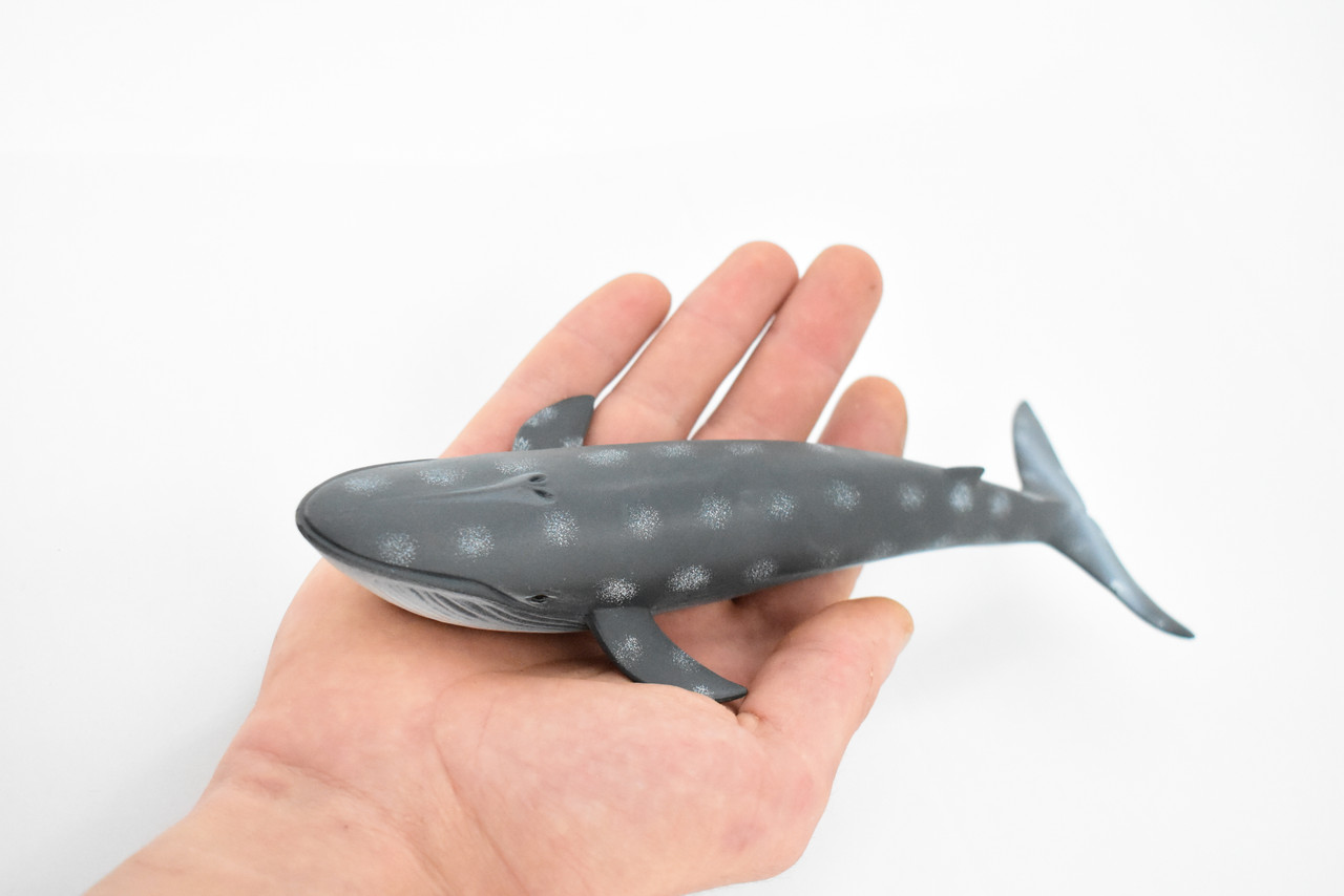 Whale, Blue Whale, Marine Mammal, Hand Painted, Museum Quality, Beautiful Rubber Animal, Realistic Toy Figure, Model, Educational, Gift,       9"      CH386 BB144