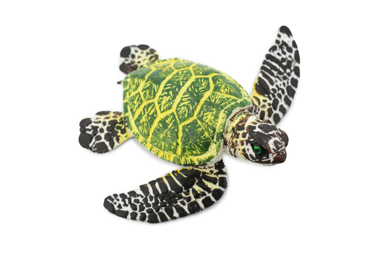 Turtle, Green Sea Turtle, Museum Quality, Hand Painted, Rubber Reptile, Realistic Toy Figure, Model, Replica, Kids, Educational, Gift,     6"     CH388 BB144