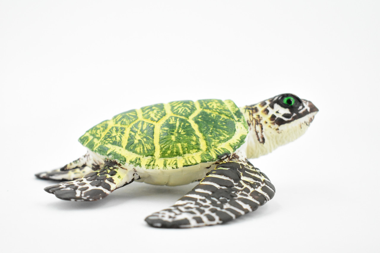 Turtle, Green Sea Turtle, Museum Quality, Hand Painted, Rubber Reptile, Realistic Toy Figure, Model, Replica, Kids, Educational, Gift,     6"     CH388 BB144