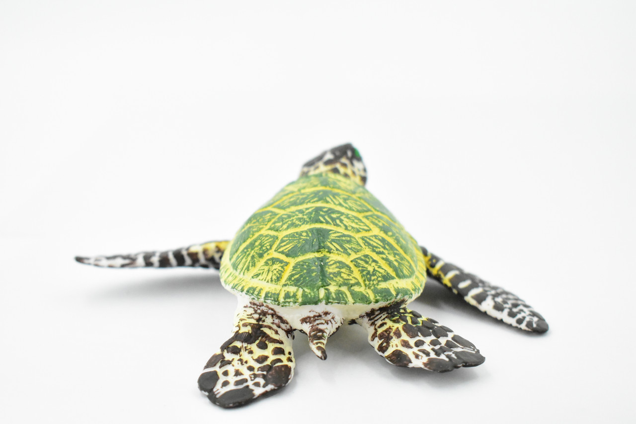 Turtle, Green Sea Turtle, Museum Quality, Hand Painted, Rubber Reptile, Realistic Toy Figure, Model, Replica, Kids, Educational, Gift,     6"     CH388 BB144