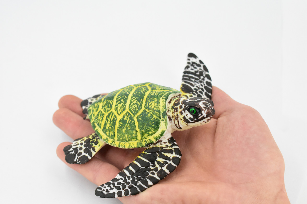 Turtle, Green Sea Turtle, Museum Quality, Hand Painted, Rubber Reptile, Realistic Toy Figure, Model, Replica, Kids, Educational, Gift,     6"     CH388 BB144