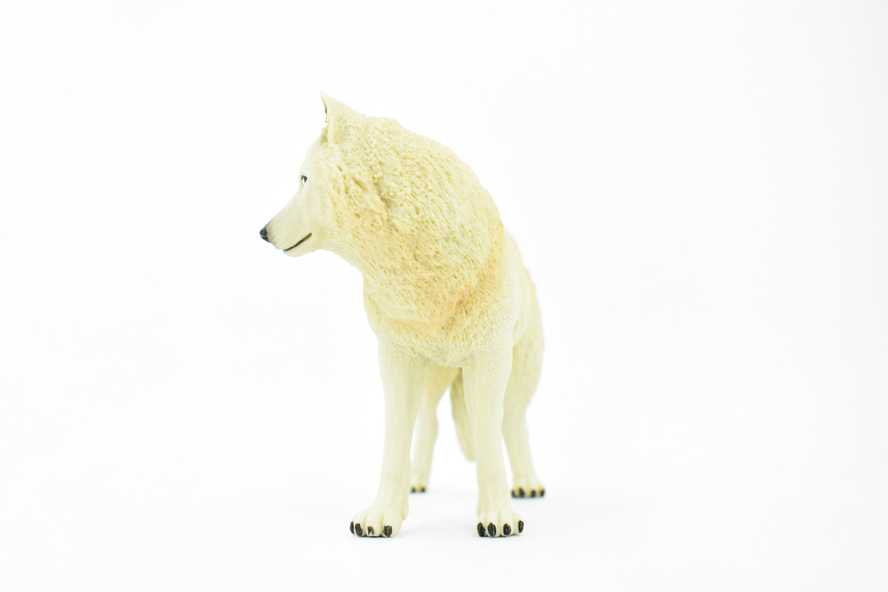 White Wolf, Arctic Timber Wolf, Museum Quality, Hand Painted, Rubber Animal, Educational, Realistic, Figure, Lifelike Figurine, Replica, Gift,      7"     CH390 BB145