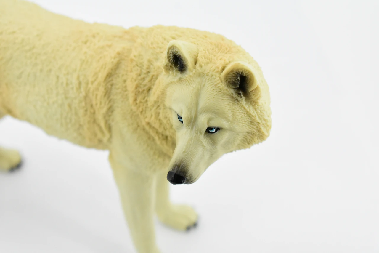 White Wolf, Arctic Timber Wolf, Museum Quality, Educational, Rubber Animal, Hand Painted, Realistic, Diorama Model, Toy, Kids, 7 Inches. 
